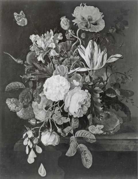 Anonimo — Jacob van Walscapelle - sec. XVII/ XVIII - Natura morta con vaso di fiori e farfalle — insieme